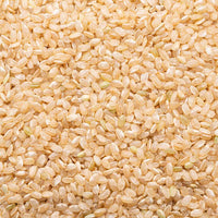Lundberg Family Farms Sprouted Short Grain 1 lb (2-Pack)