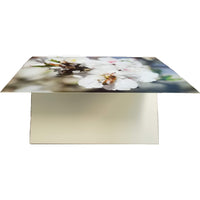 Almond Blossom Greeting Card