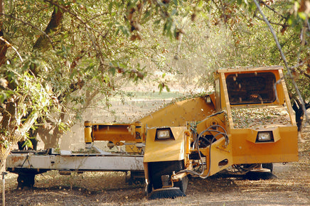 almond shaker harvest time